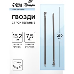 Гвозди ТУНДРА, строительные, ГОСТ 4028-63, без покрытия, 7.5×250 мм, 5 кг