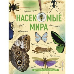 Эксмо Андрей Сочивко "Насекомые мира. Детская энциклопедия"