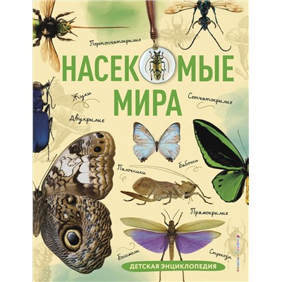 Эксмо Андрей Сочивко "Насекомые мира. Детская энциклопедия"