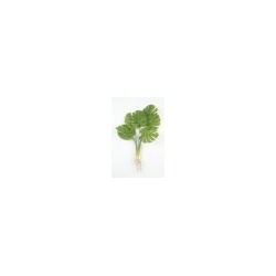 Искусственные цветы, Ветка кустовая монстера с корешками (1010237) зеленый