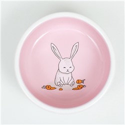 Миска керамическая для кроликов 200 мл 10×3.7 см, розовая/белая