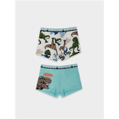 ТРУСЫ ДЛЯ МАЛЬЧИКОВ (2ШТ.) 413345-2