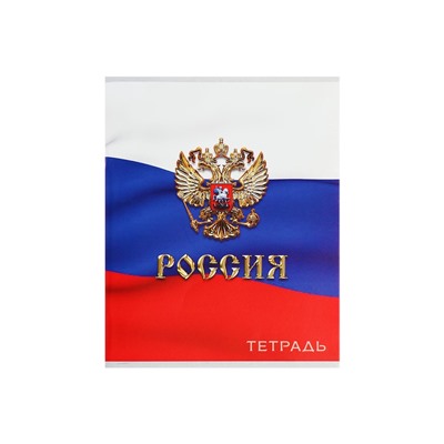 Комплект тетрадей из 4 штук, 96 листов в клетку Calligrata "Россия", обложка мелованный картон, блок №2, белизна 75% (серые листы)