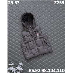Жилет Z255 серый