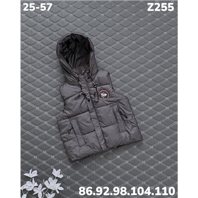 Жилет Z255 серый