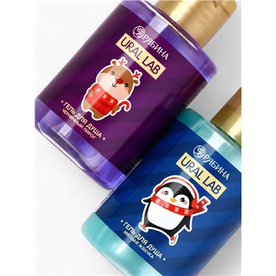 Новогодний подарочный набор косметики Gift for you: гель для душа 2 шт. × 100 мл, мочалка для тела, URAL LAB