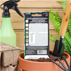 Семена Огурец "Сибирская Гирлянда" F1 скороспелый, партенокарпический, 5 шт