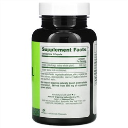 Nature's Plus, Натуральный хлорофилл, 90 растительных капсул