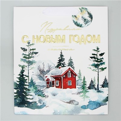 Пакет подарочный новогодний ламинированный, конгревное тиснение «С Новым годом», ML 23×27×11.5 см