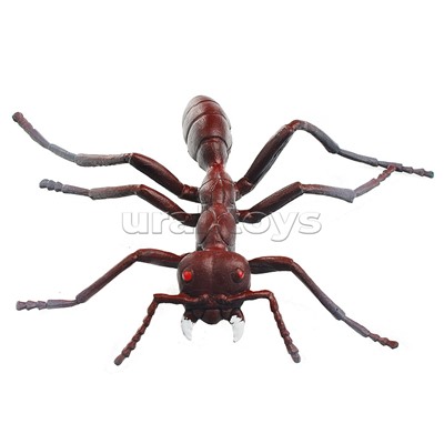 Набор животных, Насекомые 10шт. в пакете