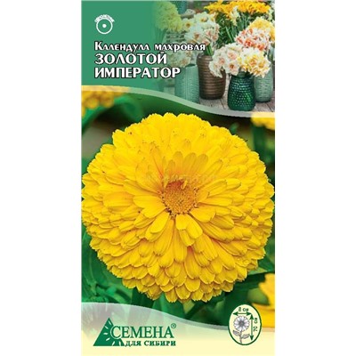 Календула Золотой император махровая, 0,5г (цв.)