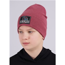 CLEVER Шапка
