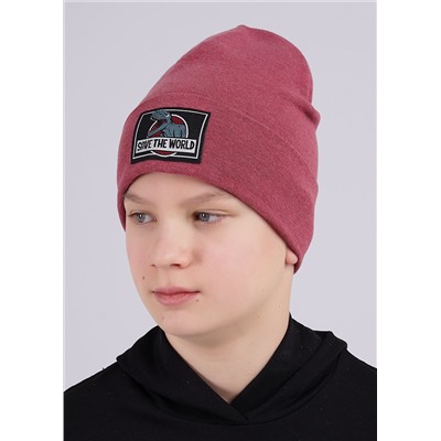 CLEVER Шапка