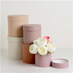 Набор круглых коробок 5 в 1 «Нюд», 20×20×20 - 11×11×11 см