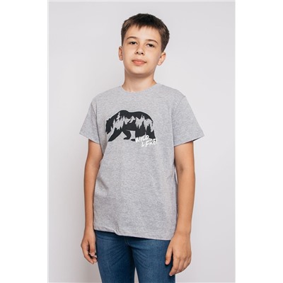 Футболка для мальчика 52320