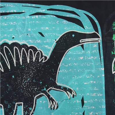 Пододеяльник 1.5-спальный «Этель» Dinoera, 143×215 см, бязь