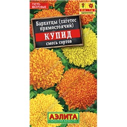 Бархатцы Купид Хризантемовидные смесь (Код: 5235)