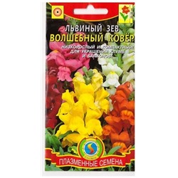Львиный зев Волшебный ковер  (Код: 75263)