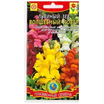 Львиный зев Волшебный ковер  (Код: 75263)