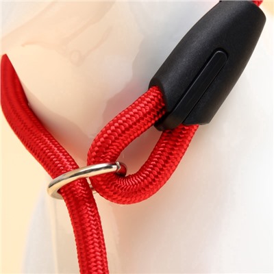 Ринговка для собак, 130×0.8 см, красная