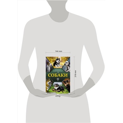 АСТ Барановская И.Г., Вайткене Л.Д., Хомич Е.О. "Собаки. Популярный иллюстрированный гид"
