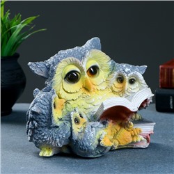 Копилка для денег «Сова с совятами и книгой», 17×15 см