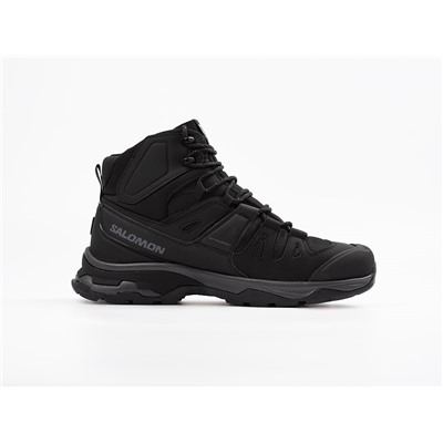 Зимние Ботинки Salomon Quest 4 GTX