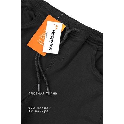 Брюки-джоггеры для мальчика Happyfox