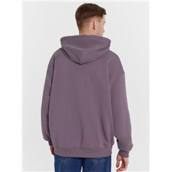 ТОЛСТОВКА МУЖСКАЯ 121201/1