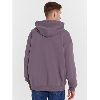 ТОЛСТОВКА МУЖСКАЯ 121201/1