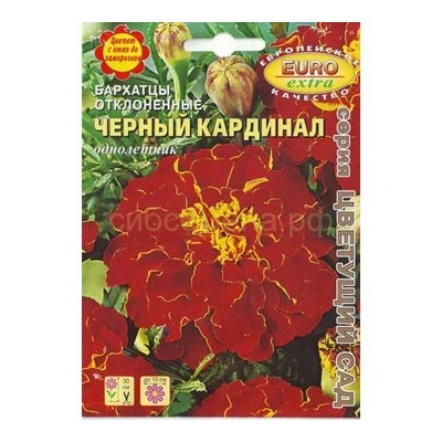 Бархатцы Черный кардинал отклон. (Аэлита)
