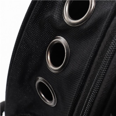 Рюкзак для переноски кошек и собак «Ромашка», 32×26×44 см, с окном