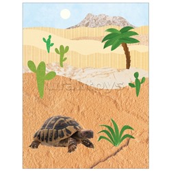 Фотонаклейки. В Африке