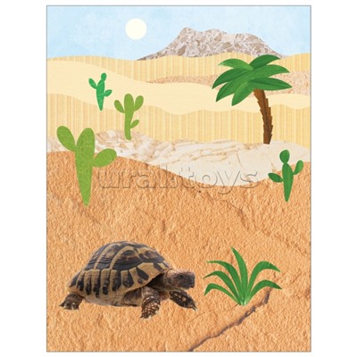 Фотонаклейки. В Африке