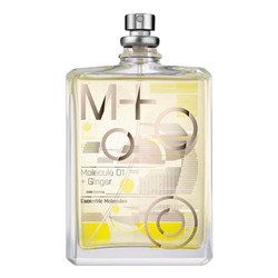 MOLECULES 01 + GINGER edt 100ml TESTER