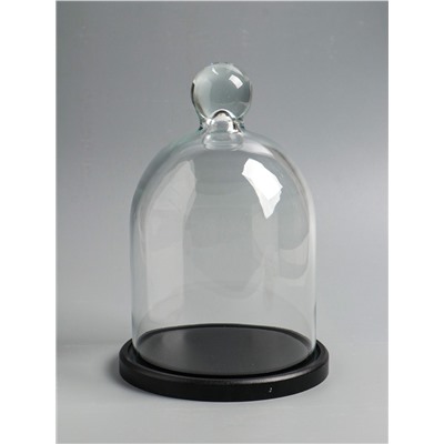 Стеклянный купол - клош на деревянной подставке, 17×25 см, чёрный