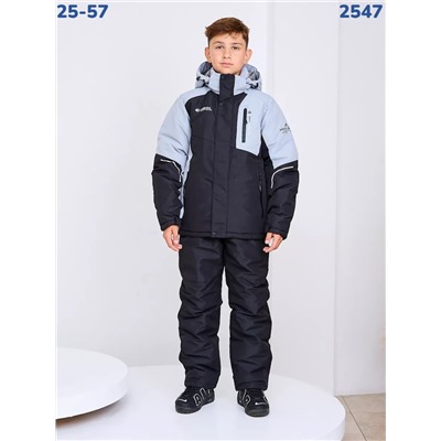 Костюм 2547 серый