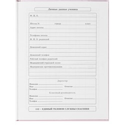 Дневник школьный 40л. БАЛЕРИНА И ПЕРЬЯ (Д40-2500) универсальный, 7БЦ,глянц.ламинация,серебро+лен