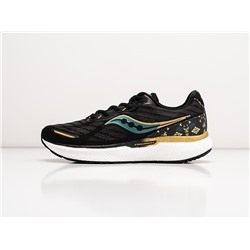 Кроссовки Saucony Triumph 19