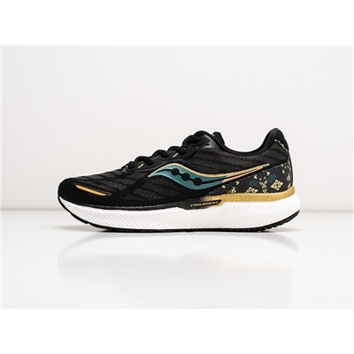 Кроссовки Saucony Triumph 19