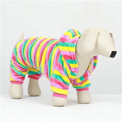 Комбинезон «Радуга» с капюшоном, размер 2XL (ДС 45 см, ОШ 45 см, ОГ 55 см)