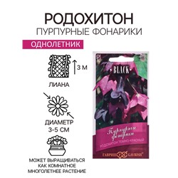 Семена Родохитон "Пурпурные фонарики", ц/п,  4 шт.