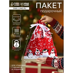 Пакет подарочный новогодний с завязками, «Пингвины», 24×32 см