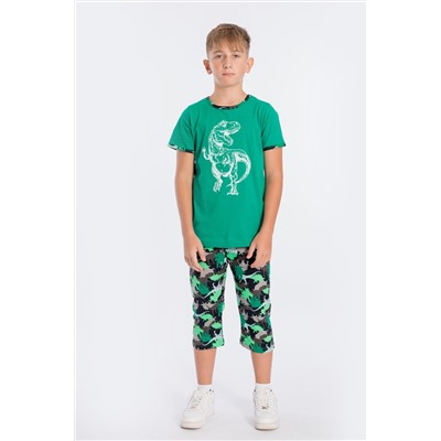 Костюм с капри М21917Пф