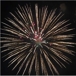 Фейерверк-шоу: парковый фейерверк + высотный салют