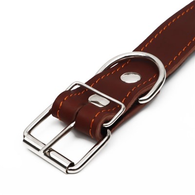 Ошейник кожаный на синтепоне, безразмерный, 71×3.5 см, ОШ 29-62 см, коричневый