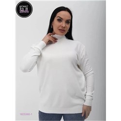 Водолазка 1825360-1