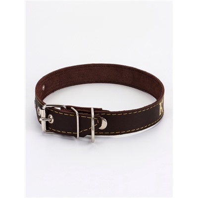 Ошейник «Красотка», 60×2.5 см, однослойный, тиснение фольгой, кожа, цвет МИКС