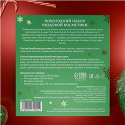 Новогодний подарочный набор косметики «Снежное царство», с ароматом хвои и корицы. Зеленая серия