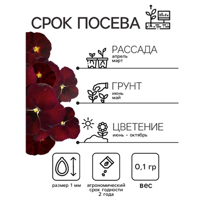 Семена Виола "Красное вино", 0,1 г